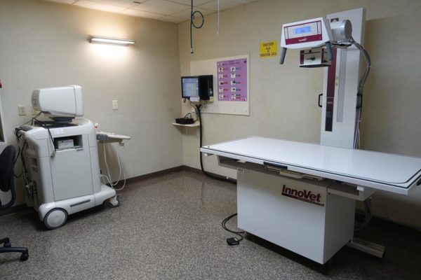 Digital Radiology