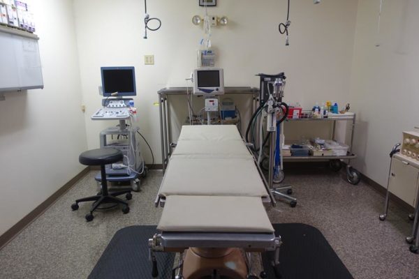 Surgery and Ultrasound Suite