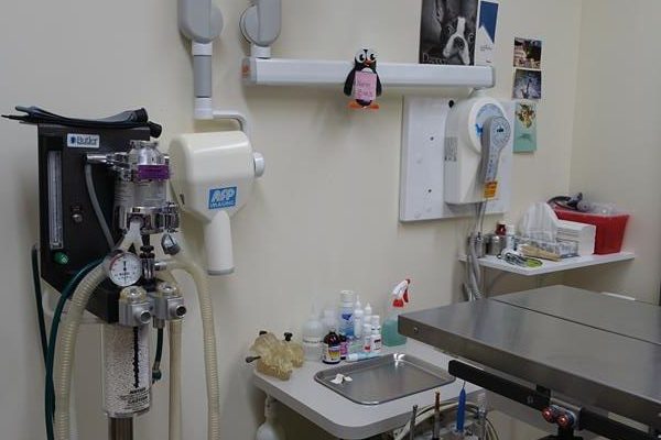 Dentistry Suite